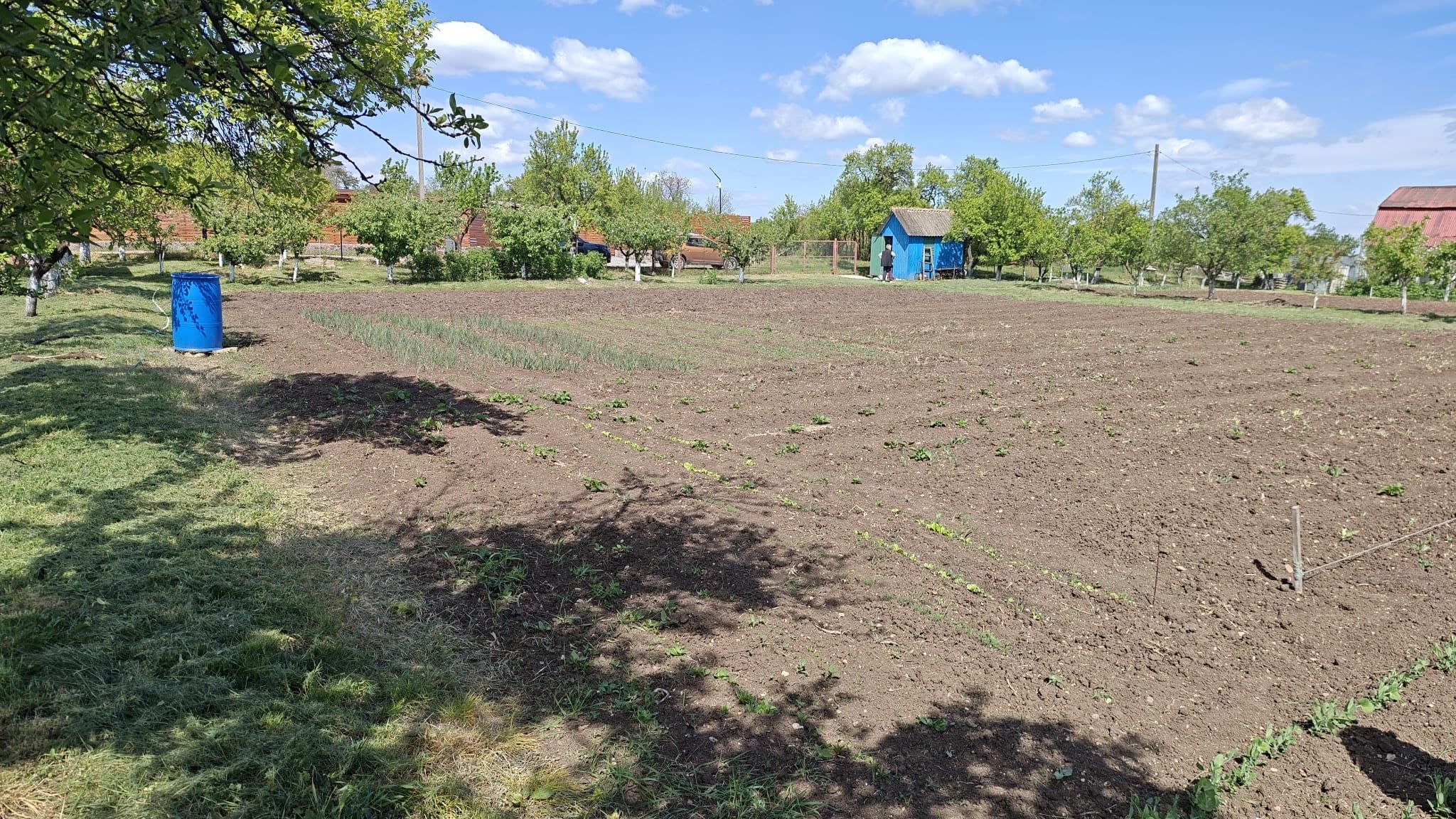 Teren INTRAVILAN 7000 mp | Băile Sărate, Turda | UTILITĂȚI | Priveliște Superbă | Deschidere 32 m - 6