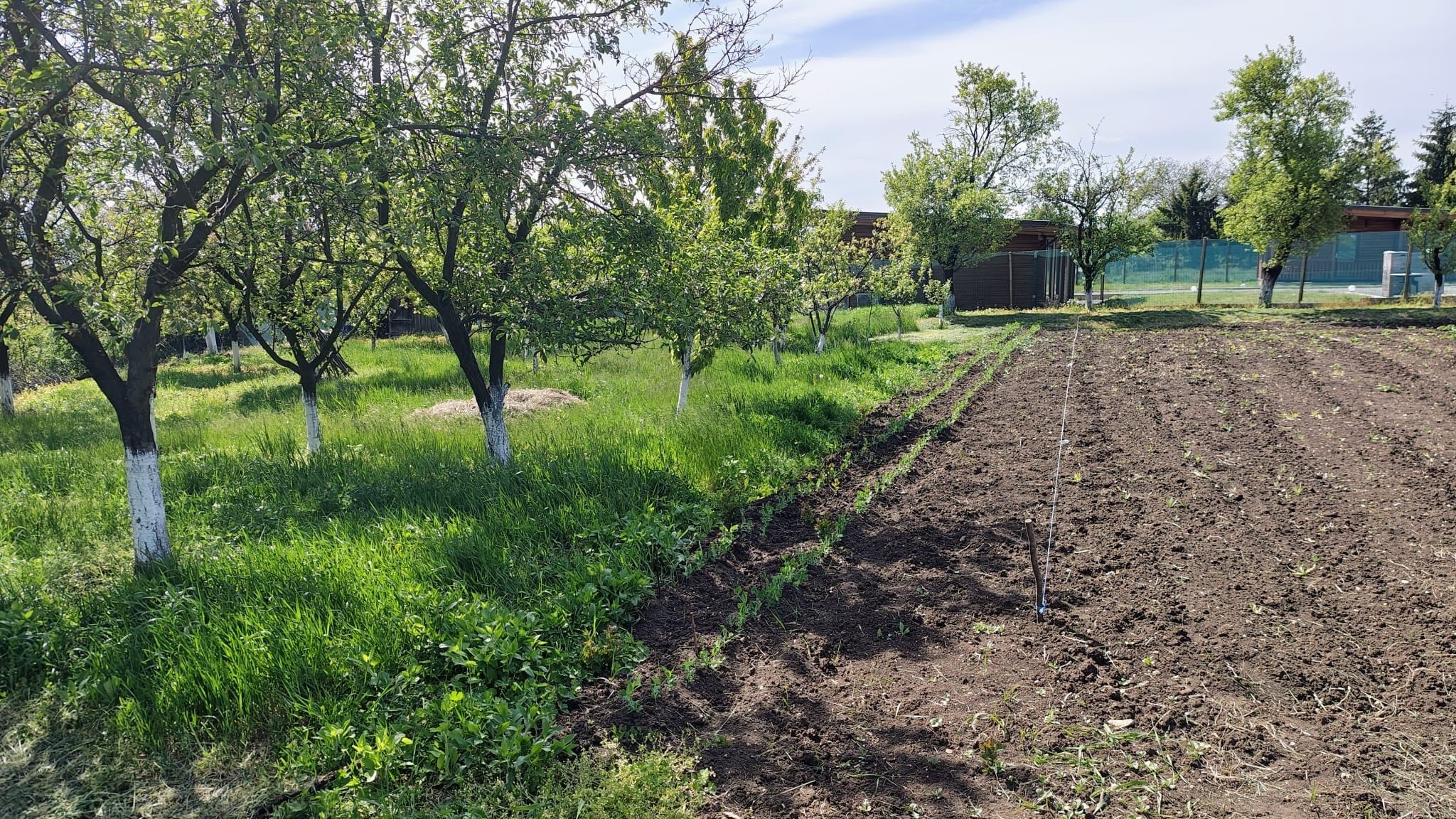 Teren INTRAVILAN 7000 mp | Băile Sărate, Turda | UTILITĂȚI | Priveliște Superbă | Deschidere 32 m - 5