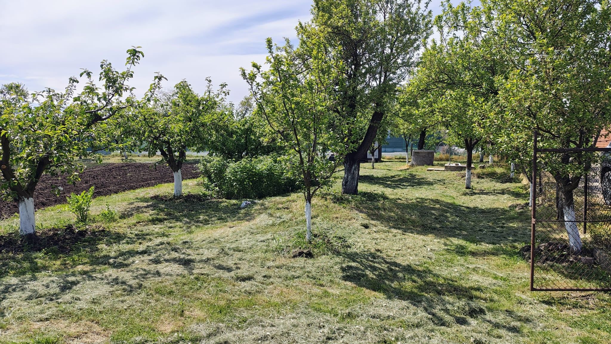 Teren INTRAVILAN 7000 mp | Băile Sărate, Turda | UTILITĂȚI | Priveliște Superbă | Deschidere 32 m - 2